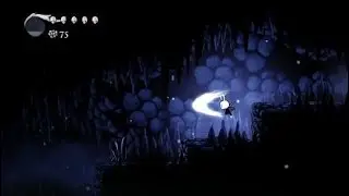 The Platformer Of Doom and Despair (Hollow Knight)