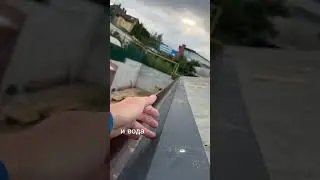 Правильный МОНТАЖ КРОВЛИ с гидроизоляцией #крыша #строительство
