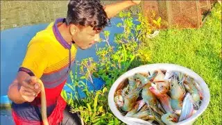 Underground Big Fish Catching By Old Technique  Primitive Fishing After Rain