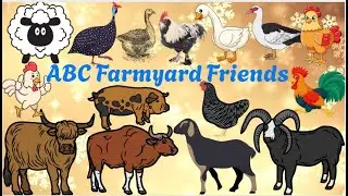 ABC Farmyard Friends 0613|ABC Songs Farm Animals Sounds|Study with your baby