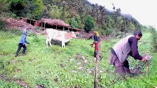 Life in the Middle of the Jungle || Amazon Rain Forest of Nepal