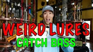 These WEIRD Fishing Lures Catch MEGA Bass!!