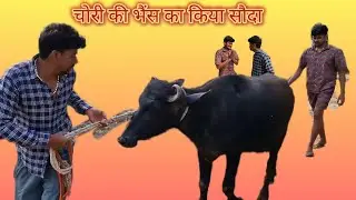 चोरी की भैंस का किया सौदा #comedy #funny #vlog #village #entertainment