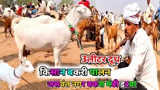 3लीटर दूध किसान बकरी पालन | jaswant nagar bakra mandi| up इटावा | goat farming | zkd April 11 2025