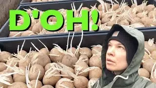 La La La Potatoes Won't Grow Hideous Long Sprouts If I Just Don't Look