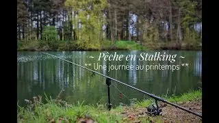 P&ecirc;che de la carpe ** en Stalking ** Une journ&eacute;e en &eacute;tang au printemps / FULL HD