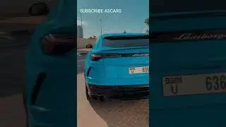 3.10 cr LAMBORGHINI URUS |ASCARS|