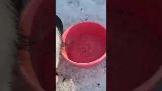 Surprise at the end😁😁