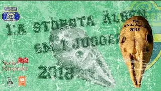 1st Swedish Masters in Jugger: Bergslagtrollen vs. Hunters