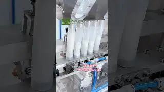 5 lane sugar back seal stick packing machine from Western packing
