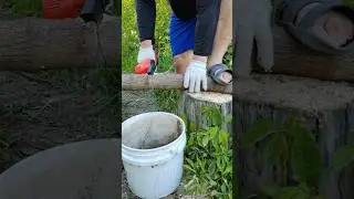 TESTED Cordless 4-Inch Rechargeable Mini Electric Chainsaw Cutting a Wood Log