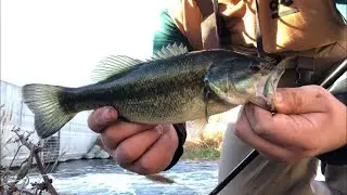 JORDAN RIVER BASS! -Utah Fishing