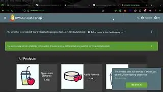 Intro to OWASP's Juice Shop