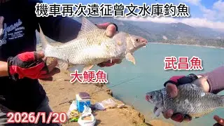 再次機車遠征曾文水庫釣魚 大鯁魚及武昌魚（397集）@Pin338548 阿平趴趴走