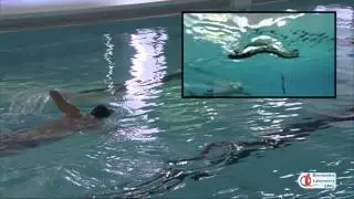 AmphiBot III at the first human-robot swimming race