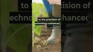 Greening the Fields: The CRAZIEST Sustainability Trends in Agriculture