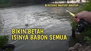 Sensasinya sudah terbukti!! Mancing wader pakai tegek Yehang Super 360 bendingannya mantap