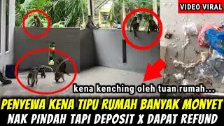 PENYEWA KENA KENCHING OWNER, RUMAH BANYAK MONYET DAH MCM TAMAN MONYET