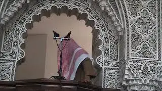 خطبة الجمعة بعنوان   : -استمسك بالتوحيد ولا تُهنئ مشركًا 