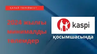 2024 жылы ИП иесі өзі үшін минималды қандай міндеті төлемдер төлейді