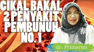 A-Z Kolesterol Tinggi - HDL, LDL, Trigliserida, dan Kolesterol Total