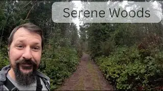 Marsh Run ASMR | Chill Lofi + Trail Run | Spadoni Brothers Southern Loop 🏃