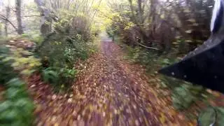 Englishcombe - Washpool Lane (UCR, S-N)