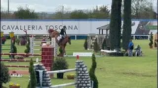JUNIOR DU SEIGNEUR AREZZO MARS 2024