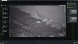 DataLibrary - Rat & Rodent Detection