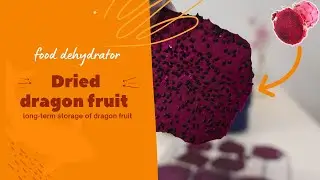 Home DIY Dry Dragon Fruit Slices Using a Food Dehydrator