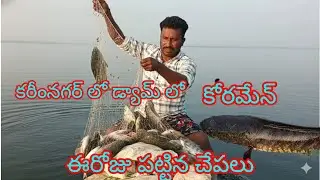 ఈరోజు పట్టిన చేపలు🐬Yatala shankar volgs యాటల శంకర్ ఫిషింగ్ వీడియో 🐟