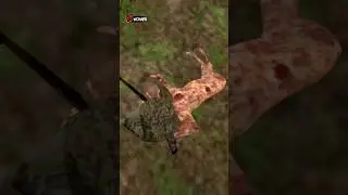 СКОЛЬКО ОХОТНИК ЗАРАБОТАЕТ ЗА 1 ЧАС на БЛЕК РАША?! 🦌 #shorts