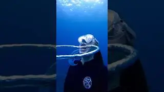 Just a quick snack !!!! 🫧 #bubblering #underwater #freediver #freediving