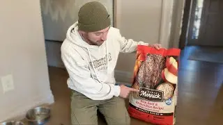 Merrick Healthy Grains Dog Food Review Is It a Good Choice?