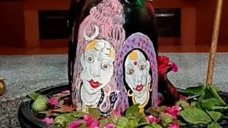 शिव शिव शिव शिव शिव शिव शिव शिव श्रृंगार दर्शन
