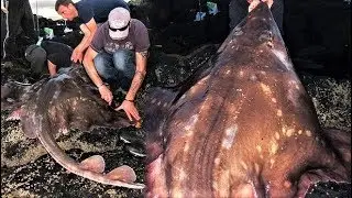 BIGGEST Moments in Fishing History