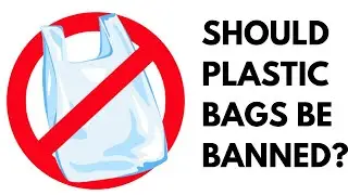 Essay on: Should plastic bags be banned? | Disadvantages of using plastic bags | Write with Ayesha