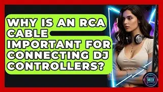 Why Is An RCA Cable Important For Connecting DJ Controllers? - Electronic Mix Masters