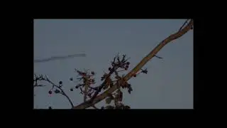 Het Gooi Film 2024 promo