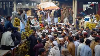 Biggest Sabzi Mandi, Kpk Mardan Pakistan