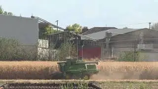 αλωνισμος καλαμποκιου 2025 JOHN DEERE 9680i WTS