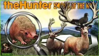 Hunting For The Wild Haggis Leads To MULTIPLE Diamonds & Rares! Call of the wild