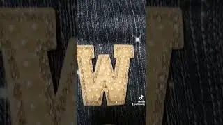 WSSU Jeans. Took a week to complete.