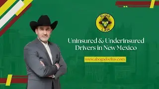 Uninsured & Underinsured Drivers in New Mexico