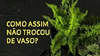 COMO MONTAR UM VASO | TUTS 1