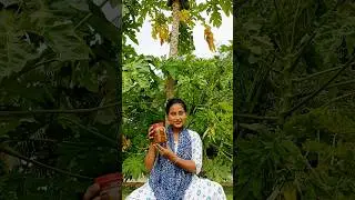Amra Achar #recipe #homemade #pickle #shorts