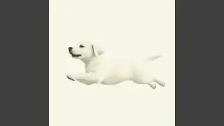 Carefree Like A Dog