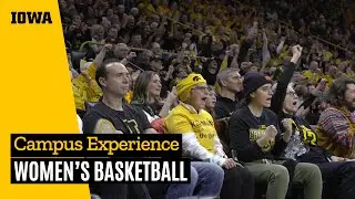Iowa Women's Basketball vs Indiana - Highlights