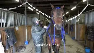Vinnerbongen på besøk hos Per Henriksen