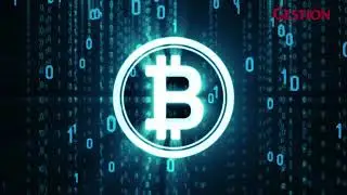 Cu&aacute;l es la diferencia entre criptomoneda, moneda virtual y dinero digital